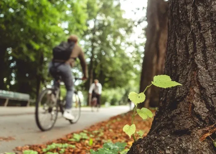 mobilité douce